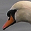 Dominique_Louis