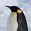 Kurt_Nordstrom